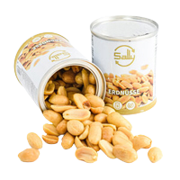 Sally Erdnüsse, gesalzen/ Sally Salted Peanuts